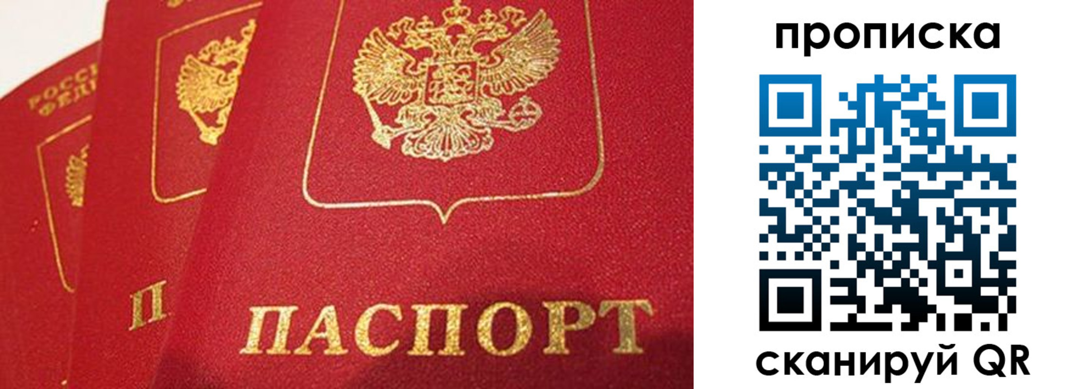 прописка паспорт в Шадринске